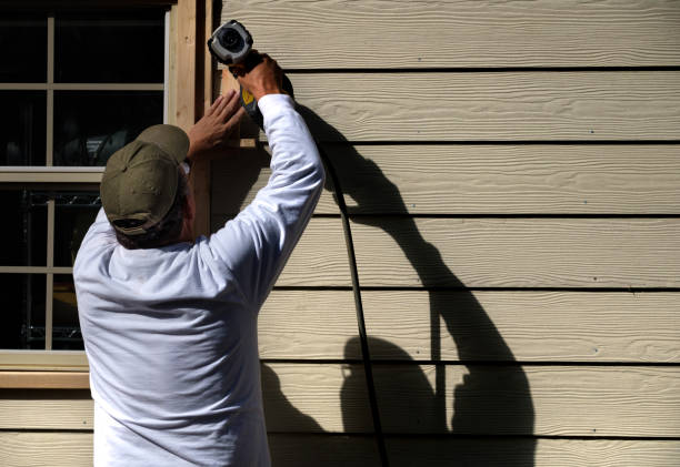 Affordable Siding Repair and Maintenance Services in Northfield, MN