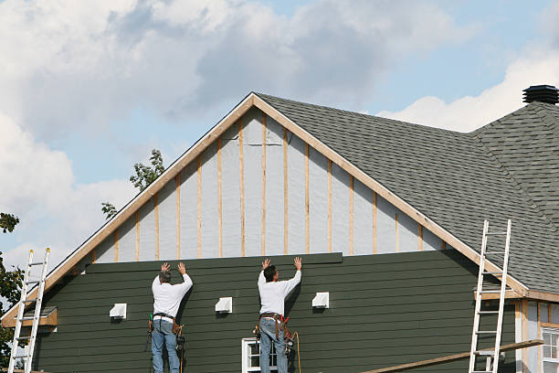 Best Siding Painting and Refinishing  in Northfield, MN